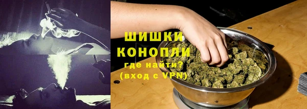 трава Осташков